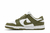 Nike Dunk Low Medium Olive Verde na internet
