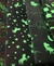 Mantas fluorescentes