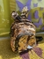 Mochila mini con tachas doradas conejo