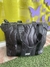 Cartera puffer Zaphir