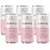 Blissful Pack (6 Latas x 269ml) - Sabor: Raspberry Rose