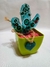 Cactus turquesa con corazon verde - In Glass Deco