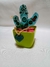 Cactus turquesa con corazon verde en internet