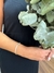 Bracelete fio quadrado Prata 925