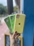 Funda silicone case desde 6 a linea del 14