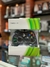 Xbox controller - comprar online