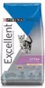 Excelent kitten pollo y arroz
