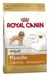 Royal Canin poodle ( caniche) adulto