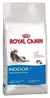 Royal canin gato indoor
