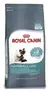 Royal canin hairball care