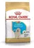 Royal Canin golden retriever junior
