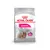 Royal Canin mini exigent