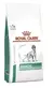 Royal Canin diabetic