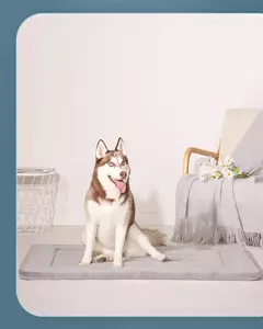 Caminha pra cachorro antiderrapante Hero Dog - PARA TUDO - COMPRAS CRIATIVAS