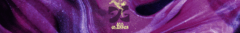 Banner de la categoría Productos