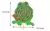 Brinquedos de quebra-cabeça 3D de madeira para crianças, Montessori, Inteligência - AS Utilidades