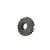Engrenagem Motriz 28Z Valtra Valmet 81656300 Valmet - comprar online