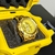 VENOM HYBRID DOURADO/DOURADO - LUPAS DO CHEFE