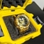 VENOM DOURADO/PRETO - LUPAS DO CHEFE
