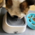 BEBEDERO ANTISPLASH PARA MASCOTAS en internet