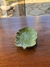 Bandeja de porcelana verde
