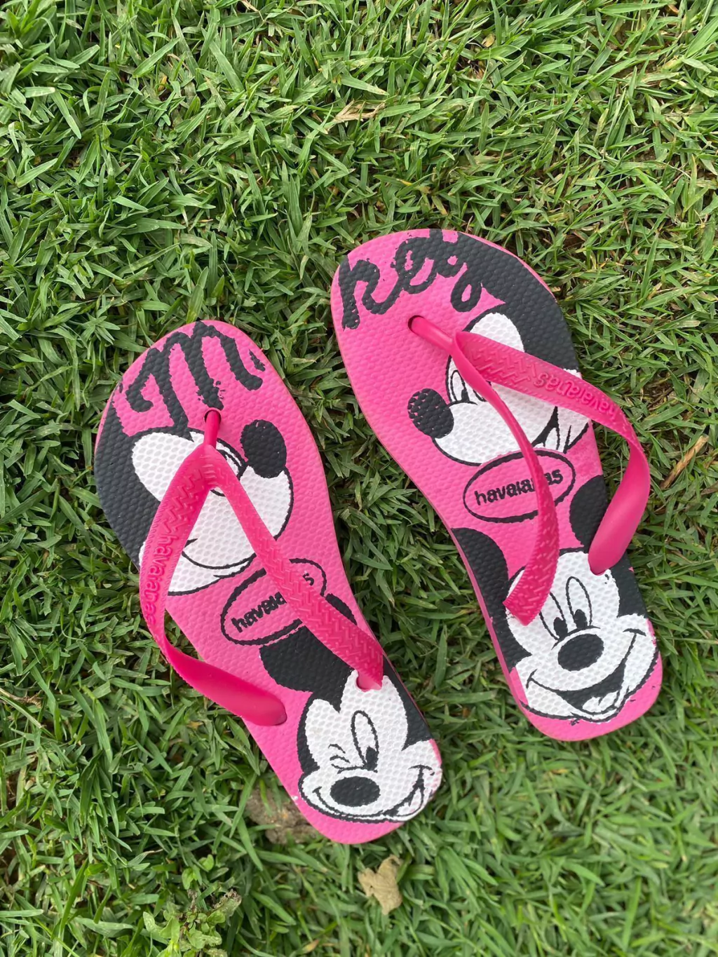 CHNELO CORREIA GROSSA