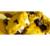 Carrusel 3