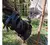 12 Ovos Férteis/galados De Galinha Ayam Cemani - Raça Pura - comprar online