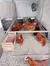 12 Ovos Férteis/galados De Rhode Island Red - Raça Pura - loja online