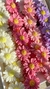 20 Margaritas (mayorista) - comprar online