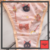 Bombi Sailor Moon en internet