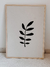 Planta