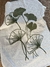 Ginkgo biloba combinado - tienda online