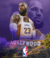 COLEÇÃO NBA