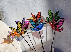 Banner de la categoría Tutor Colibrí Chico 