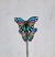 Tutores mariposa Monarca 3