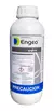Engeo