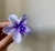 Broche Hawái