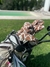 Fundas para palos de golf x 10 unidades (Drive / 2 Madera o Hibrido / 7 hierros) en internet