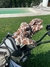 Fundas para palos de golf x 10 unidades (Drive / 2 Madera o Hibrido / 7 hierros) - comprar online