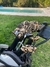 Fundas palos de golf x 7 unidades ( Drive/ 2 Madera/Hibridos y 4 hierros) - comprar online