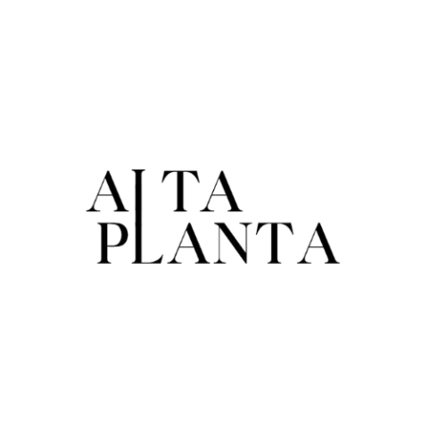 ALTA PLANTA