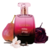 Niina Secrets Celebrate Colônia 100ml - comprar online