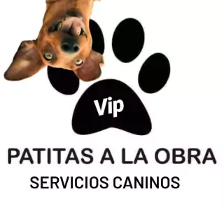 Patitas A La Obra VIP