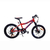 Raleigh Rowdy R20 con cambios
