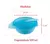 Kit Prato Bowl Com Tampa E Colher 300ml Azul - Buba - loja online