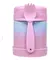 Pote Térmico Papinha Com Tampa E Talher Inox Bebe Degrade - comprar online