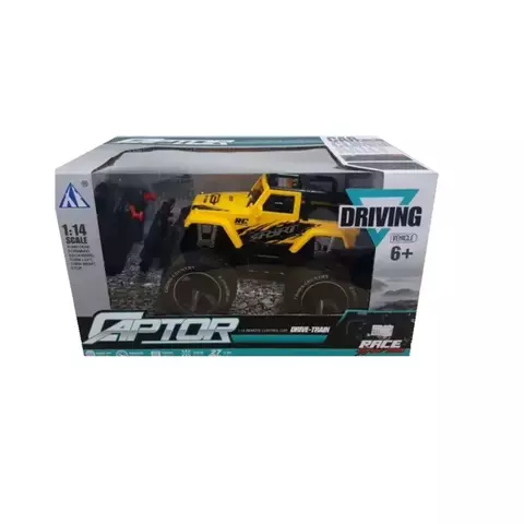 Carro Controle Remoto Rally