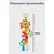 Mola de atividades bubazoo - leao buba - comprar online