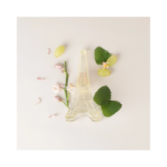 Set Color Bath Yellow (Torre 50 ml + Jabon Para Pintar) - LITTLE PARIS - comprar online